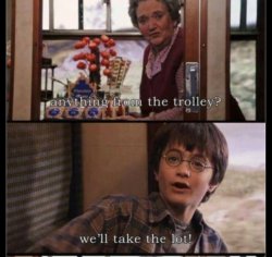 Harry potter take the lot Meme Template