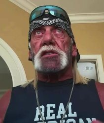 Hulk Hogan Meme Template