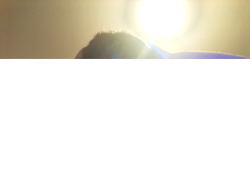 Egggggg Meme Template