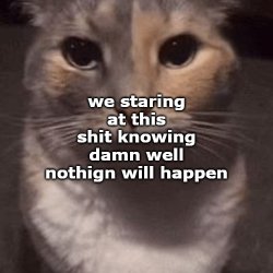 me staring at this shit knowing damn well nothing will happen Meme Template