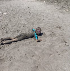 Beach hide Meme Template