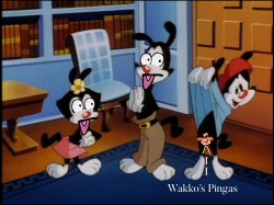 Wakko Warner’s Pingas Meme Template