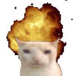 cat-go-boom Meme Template