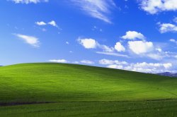 Windows XP Background Meme Template