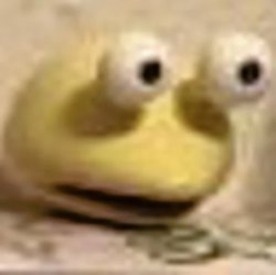 bulborb lava has seen your search history Meme Template