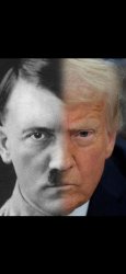 No Nazis., No Kings Meme Template