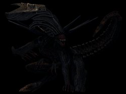 Xenomorph Queen Stalk Meme Template
