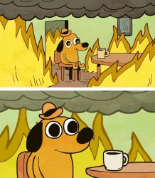 Dog in fire Meme Template