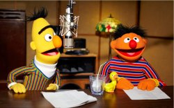 bert Meme Template