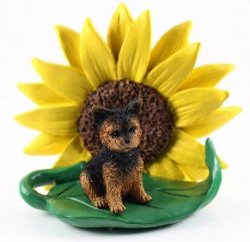 Yorkie Sunflower Meme Template
