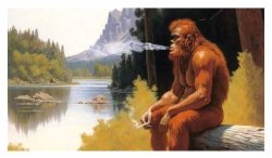 smoking ape in the forest Meme Template