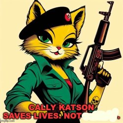 CALLY KATSON SAVES LIVES. NOT *blank* Meme Template