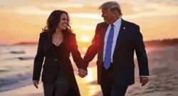TRUMP HARRIS Meme Template