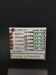 pokemon sliver team Meme Template
