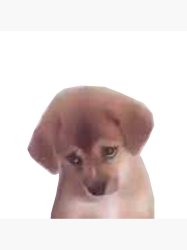 Sad Doggo Meme Template