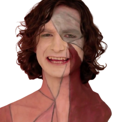 Gotye Meme Template