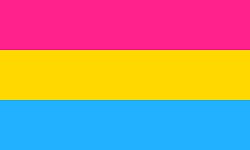 Pan flag Meme Template
