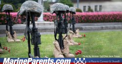 Memorial Day is Not Just about Beer and Hotdogs Meme Template