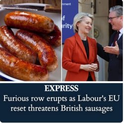 Brexit sausage outrage Meme Template