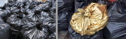 Trash but Gold Meme Template