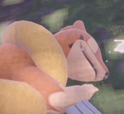 slepping flosel Meme Template