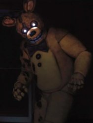 The yellow rabbit Meme Template