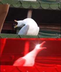 Break French Meme Template