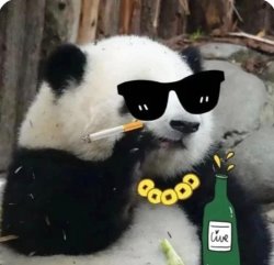 Panda work Meme Template