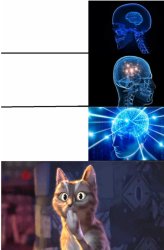 Expanding Brain, Bad Results Meme Template