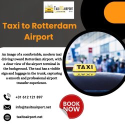Taxi to Rotterdam Airport  Meme Template