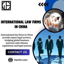 International Law Firms in China Meme Template