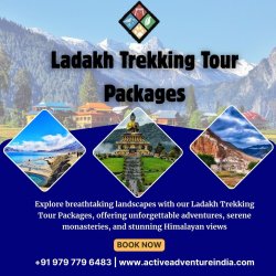 Ladakh Trekking Tour Packages Meme Template