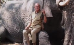 King Elephant Hunter Meme Template
