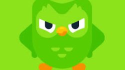 duolingo Meme Template