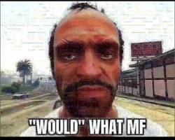 would what mf Meme Template