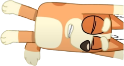 Bingo Heeler Meme Template
