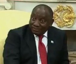 Shocked South African Meme Template