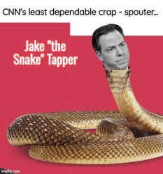 Jake the Snake Tapper Meme Template