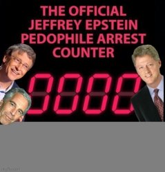 Official Jeff Epstein Pedophile Arrest Counter Meme Template