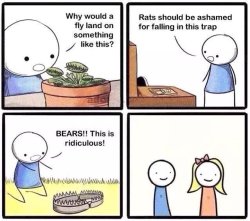 How could someone fall for this Meme Template