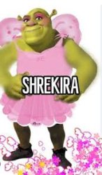 make shrek preppy Meme Template