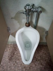 Urinal Meme Template