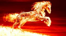 Fire Horse Meme Template