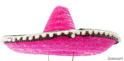 Pink sombrero Meme Template
