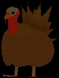 Turkey Meme Template
