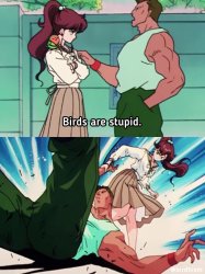 Blank are/is stupid Meme Template