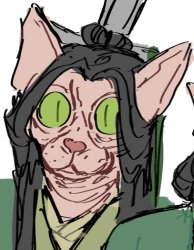 skinzun Meme Template