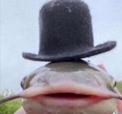 fish Meme Template