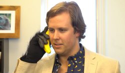 Bananaphone Meme Template