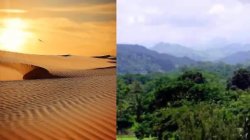Desert vs nature Meme Template